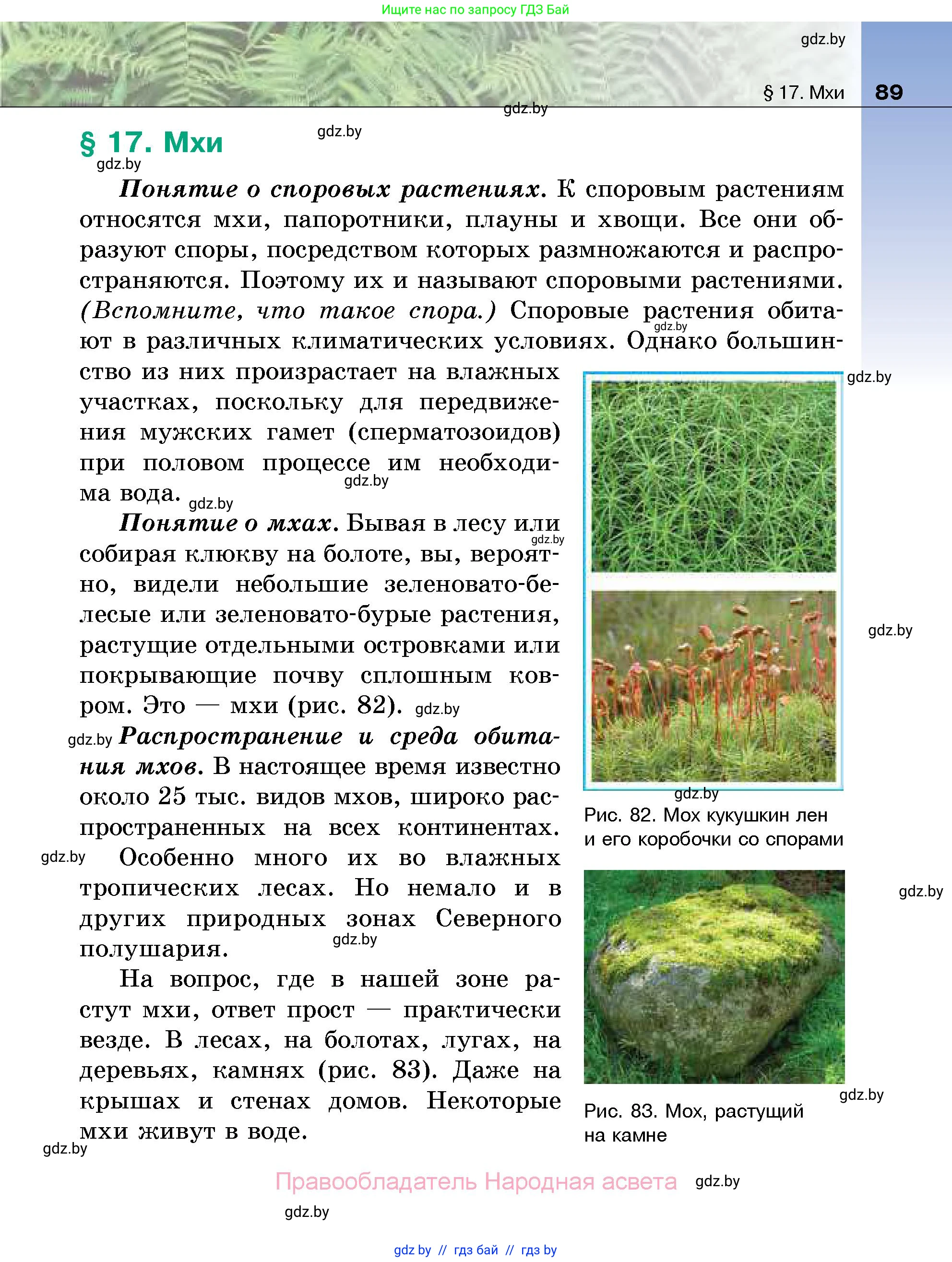 Биология, 7 класс Учебник, автор: Лисов Николай Дмитриевич, издательство Народная асвета, Минск, 2022, зелёного цвета, страница 89