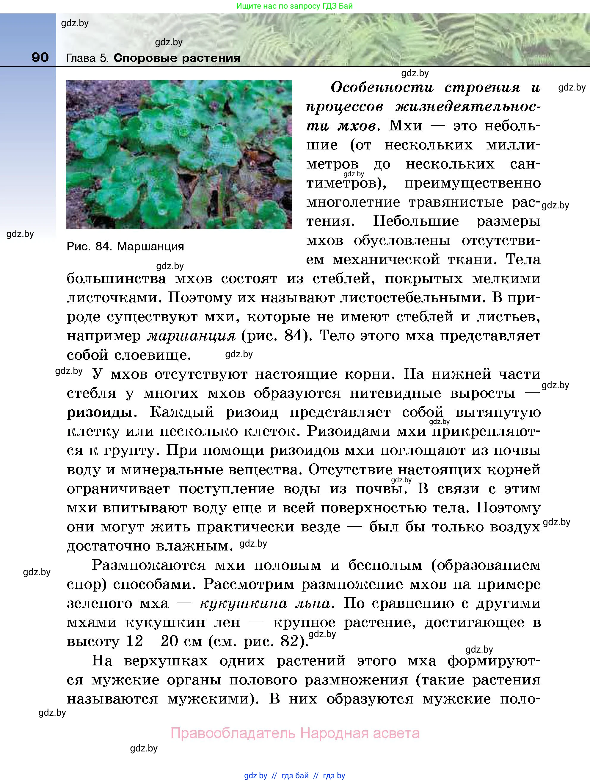 Биология, 7 класс Учебник, автор: Лисов Николай Дмитриевич, издательство Народная асвета, Минск, 2022, зелёного цвета, страница 90