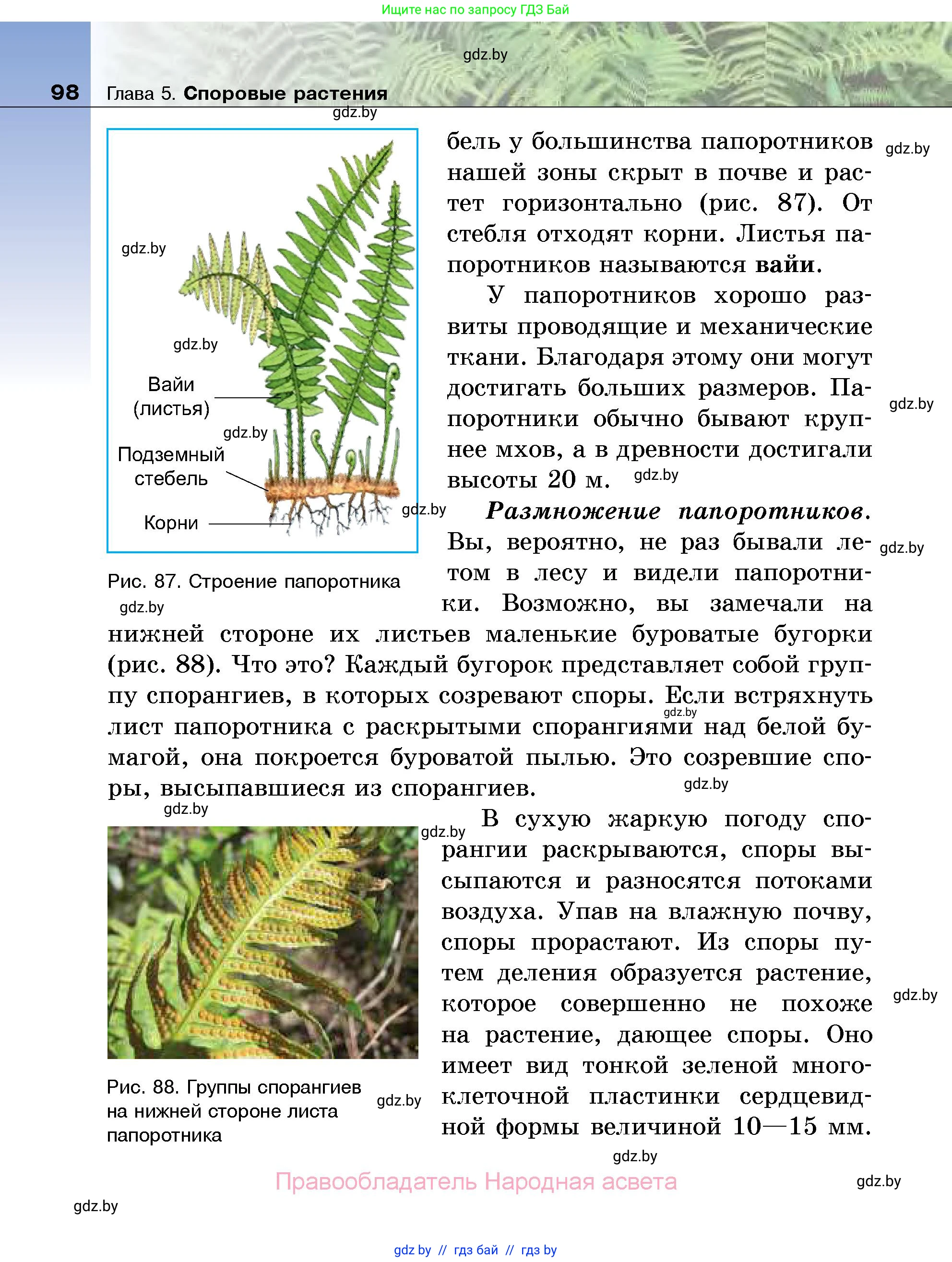 Биология, 7 класс Учебник, автор: Лисов Николай Дмитриевич, издательство Народная асвета, Минск, 2022, зелёного цвета, страница 98