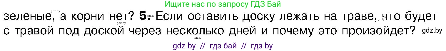 Биология, 7 класс Учебник, автор: Лисов Николай Дмитриевич, издательство Народная асвета, Минск, 2022, зелёного цвета, страница 75, номер 5, Условие