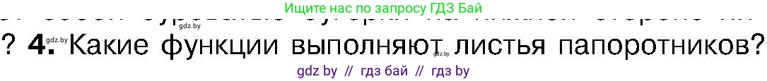Биология, 7 класс Учебник, автор: Лисов Николай Дмитриевич, издательство Народная асвета, Минск, 2022, зелёного цвета, страница 102, номер 4, Условие