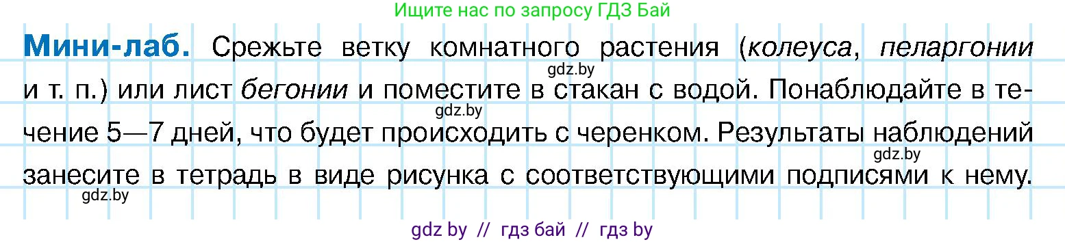Биология, 7 класс Учебник, автор: Лисов Николай Дмитриевич, издательство Народная асвета, Минск, 2022, зелёного цвета, страница 125, Условие