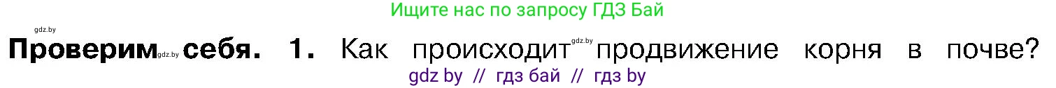 Биология, 7 класс Учебник, автор: Лисов Николай Дмитриевич, издательство Народная асвета, Минск, 2022, зелёного цвета, страница 129, номер 1, Условие