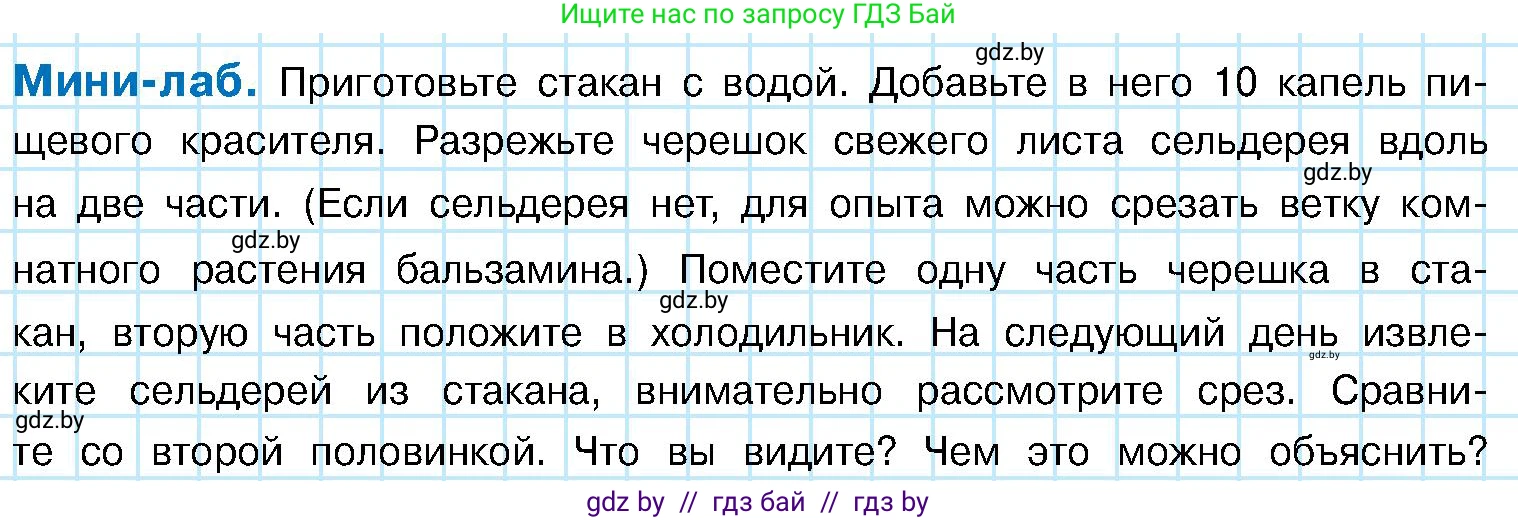 Биология, 7 класс Учебник, автор: Лисов Николай Дмитриевич, издательство Народная асвета, Минск, 2022, зелёного цвета, страница 142, Условие