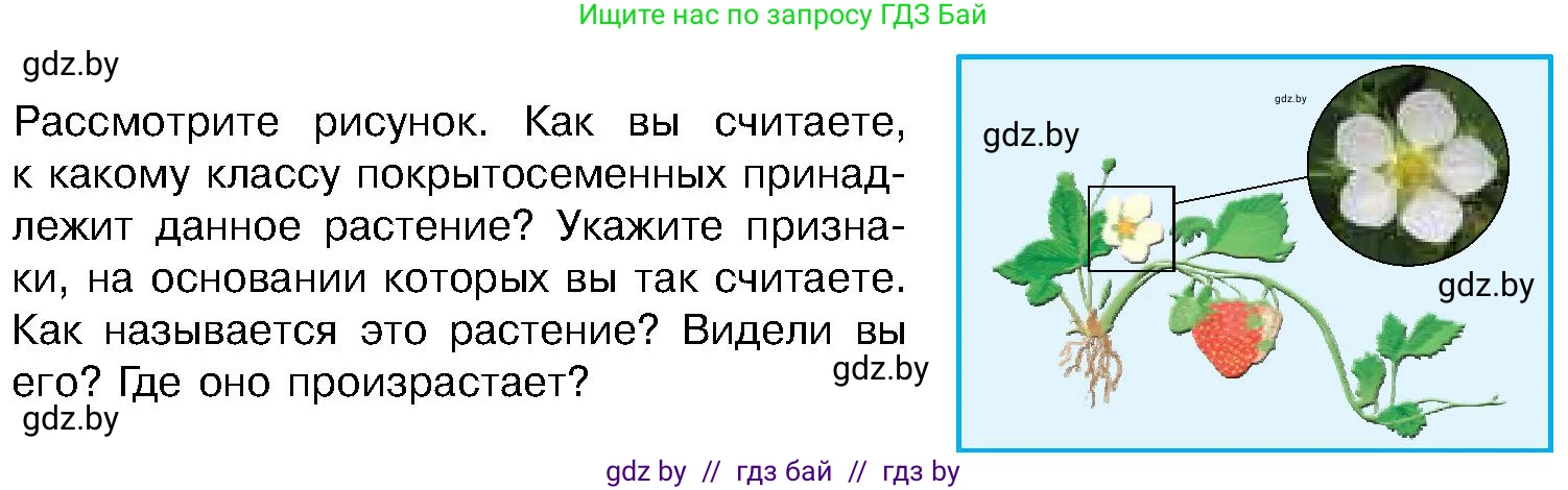 Биология, 7 класс Учебник, автор: Лисов Николай Дмитриевич, издательство Народная асвета, Минск, 2022, зелёного цвета, страница 209, Условие