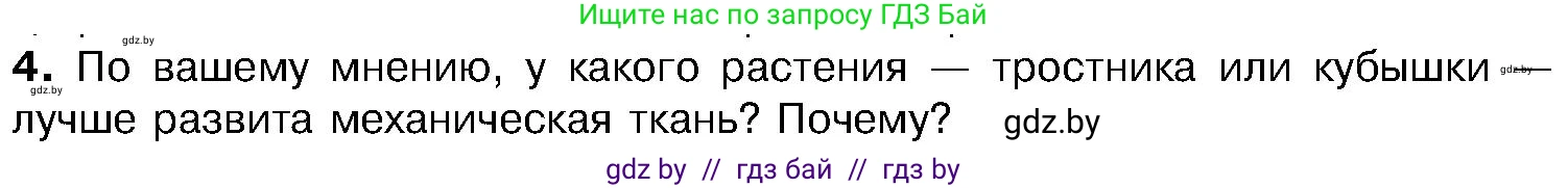 Биология, 7 класс Учебник, автор: Лисов Николай Дмитриевич, издательство Народная асвета, Минск, 2022, зелёного цвета, страница 213, номер 4, Условие