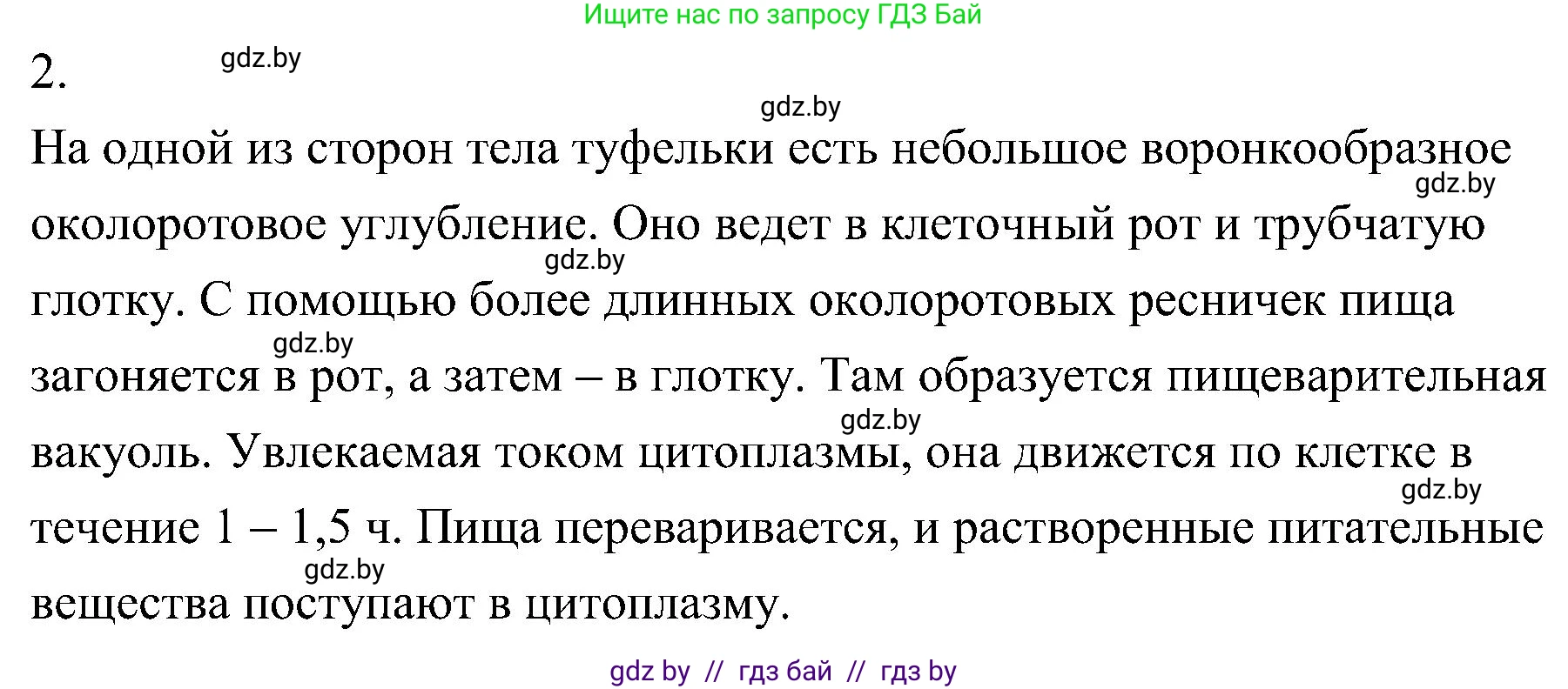 Биология, 7 класс Учебник, автор: Лисов Николай Дмитриевич, издательство Народная асвета, Минск, 2022, зелёного цвета, страница 37, номер 2, Решение