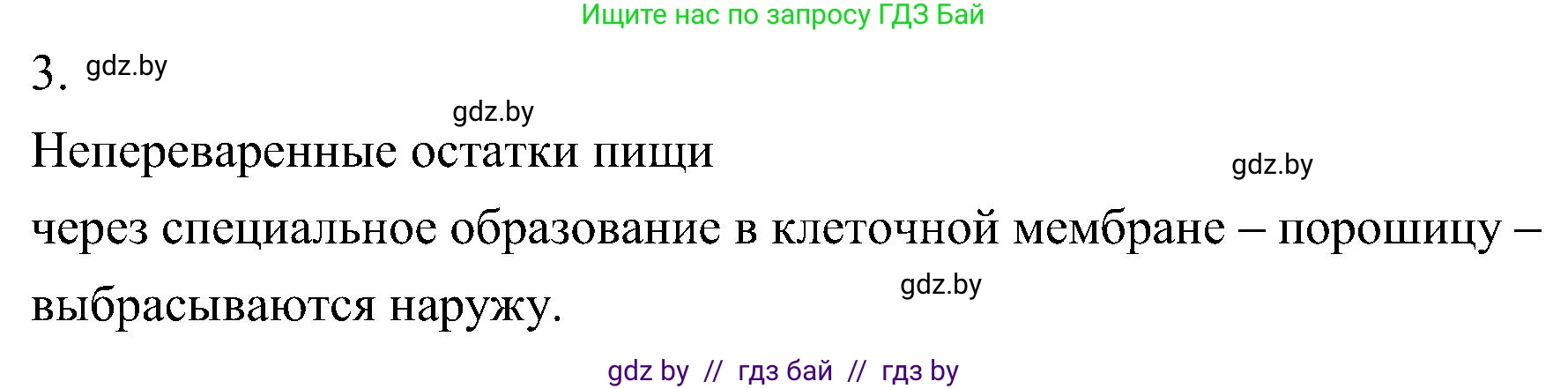 Биология, 7 класс Учебник, автор: Лисов Николай Дмитриевич, издательство Народная асвета, Минск, 2022, зелёного цвета, страница 37, номер 3, Решение