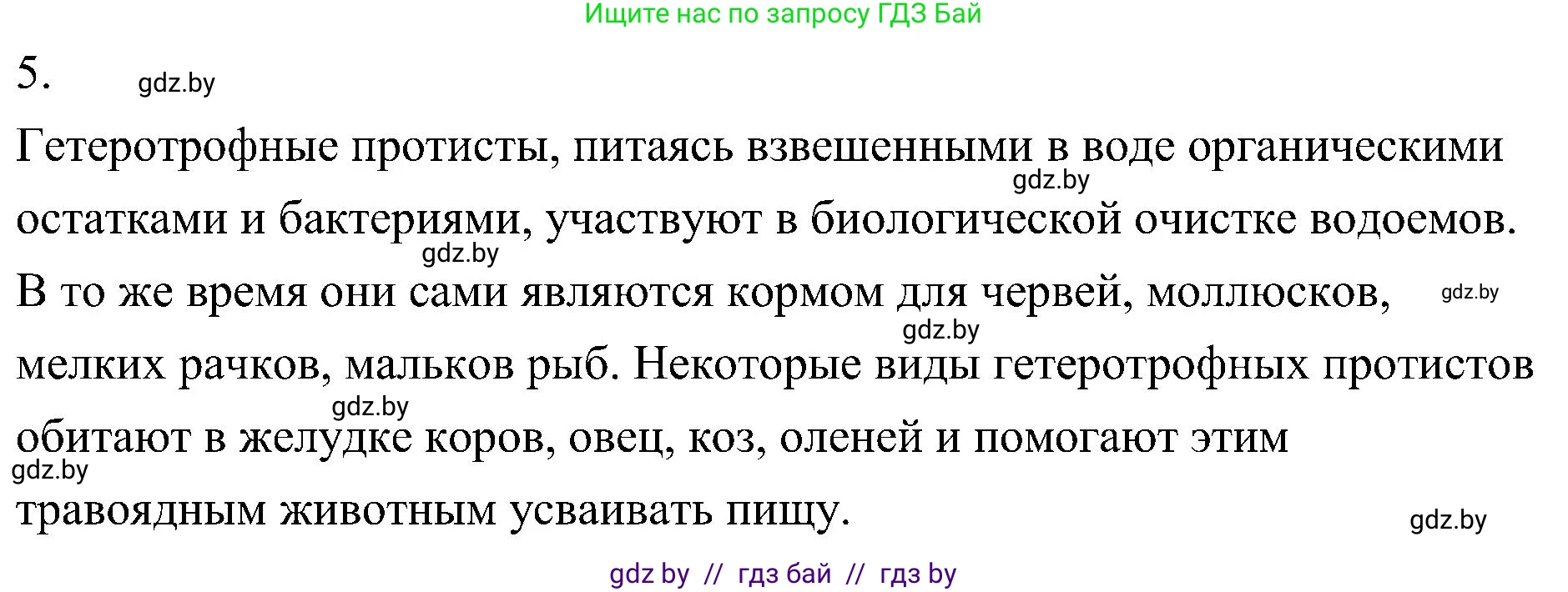 Биология, 7 класс Учебник, автор: Лисов Николай Дмитриевич, издательство Народная асвета, Минск, 2022, зелёного цвета, страница 37, номер 5, Решение