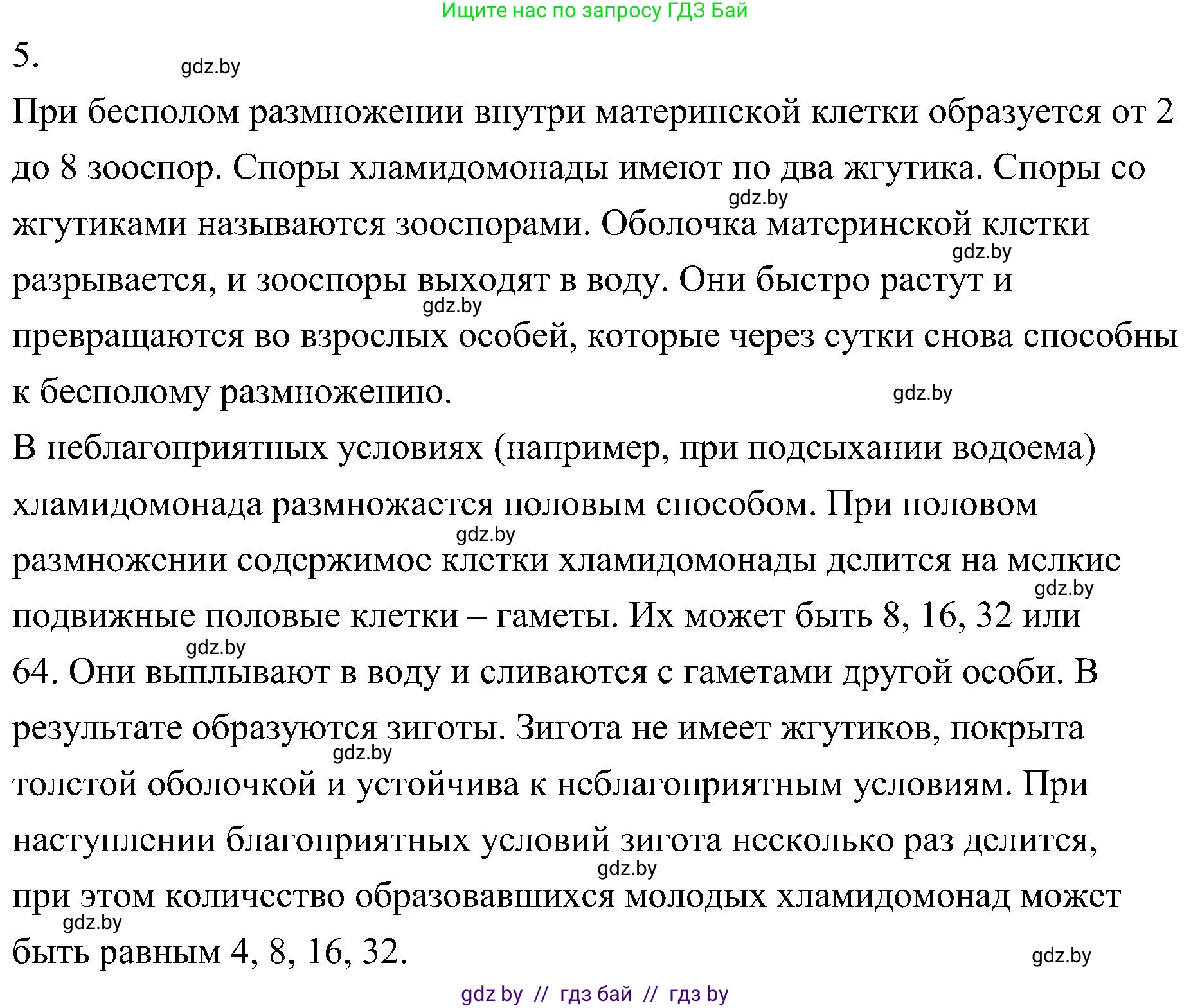 Биология, 7 класс Учебник, автор: Лисов Николай Дмитриевич, издательство Народная асвета, Минск, 2022, зелёного цвета, страница 41, номер 5, Решение