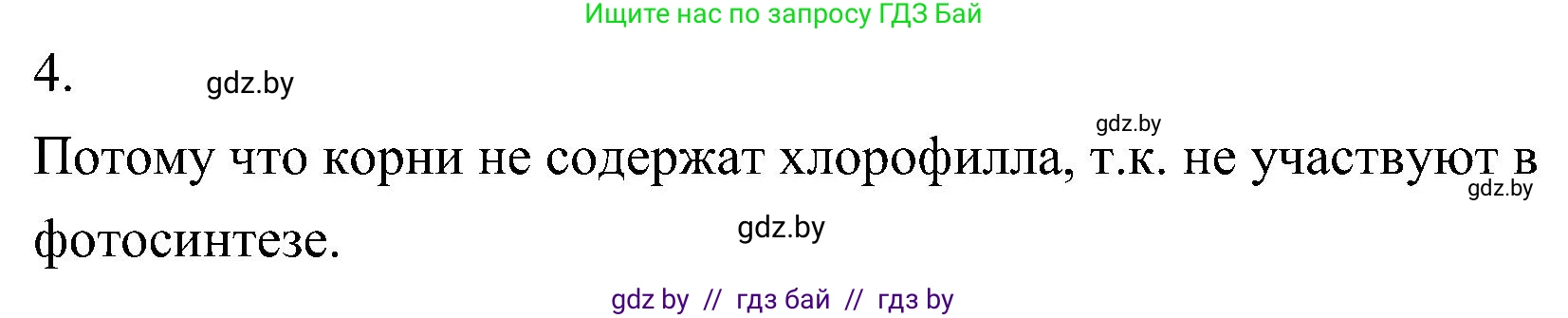 Биология, 7 класс Учебник, автор: Лисов Николай Дмитриевич, издательство Народная асвета, Минск, 2022, зелёного цвета, страница 75, номер 4, Решение