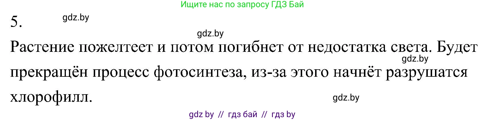Биология, 7 класс Учебник, автор: Лисов Николай Дмитриевич, издательство Народная асвета, Минск, 2022, зелёного цвета, страница 75, номер 5, Решение