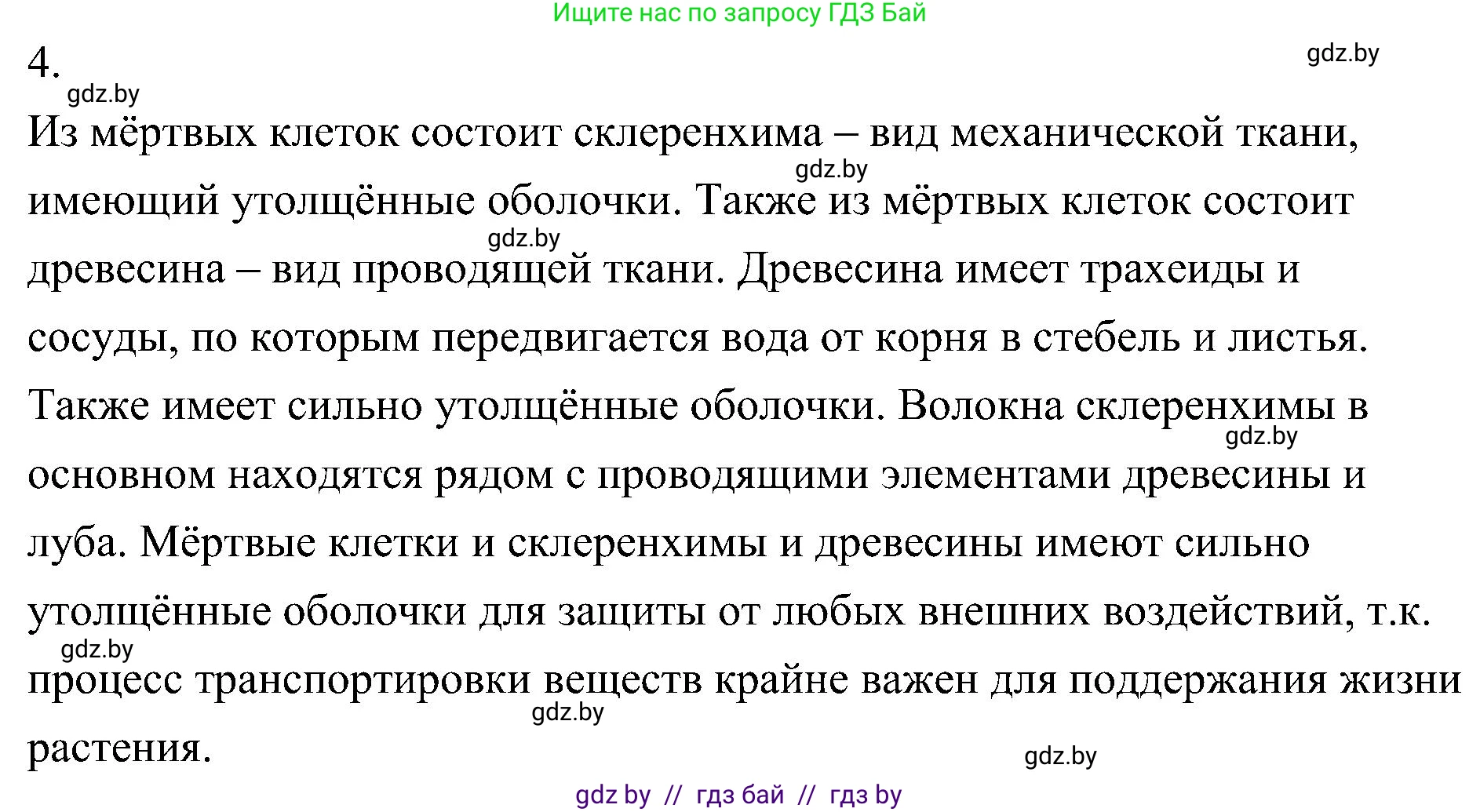Биология, 7 класс Учебник, автор: Лисов Николай Дмитриевич, издательство Народная асвета, Минск, 2022, зелёного цвета, страница 81, номер 4, Решение