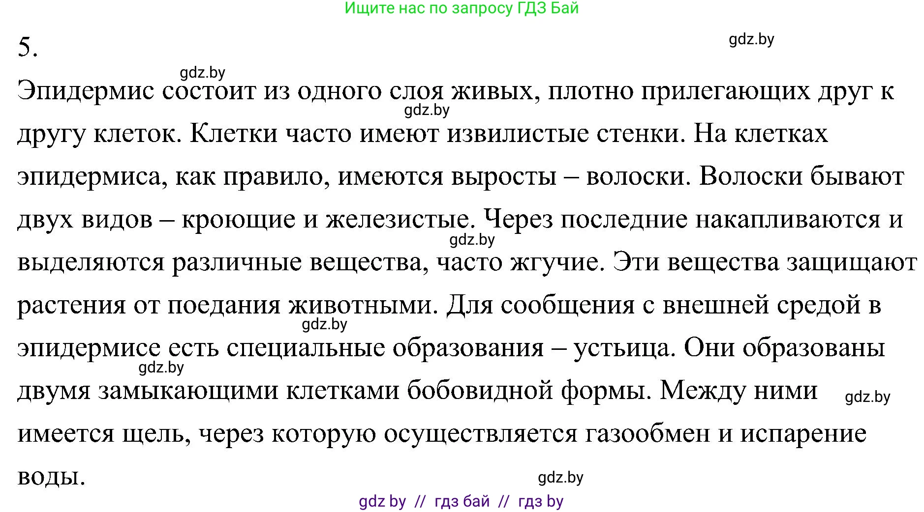 Биология, 7 класс Учебник, автор: Лисов Николай Дмитриевич, издательство Народная асвета, Минск, 2022, зелёного цвета, страница 81, номер 5, Решение