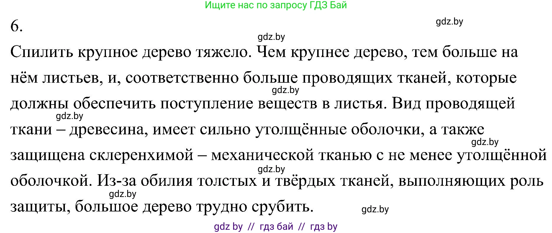 Биология, 7 класс Учебник, автор: Лисов Николай Дмитриевич, издательство Народная асвета, Минск, 2022, зелёного цвета, страница 81, номер 6, Решение