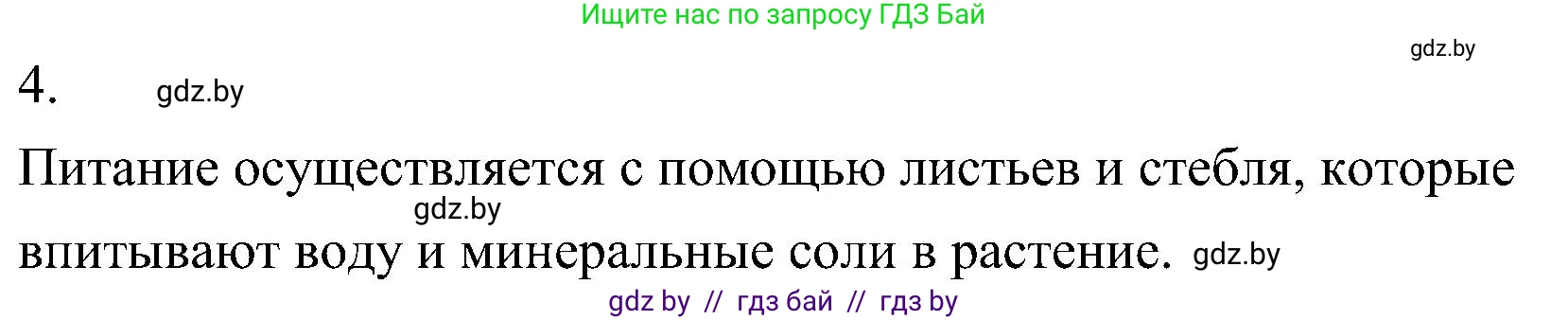 Биология, 7 класс Учебник, автор: Лисов Николай Дмитриевич, издательство Народная асвета, Минск, 2022, зелёного цвета, страница 97, номер 4, Решение