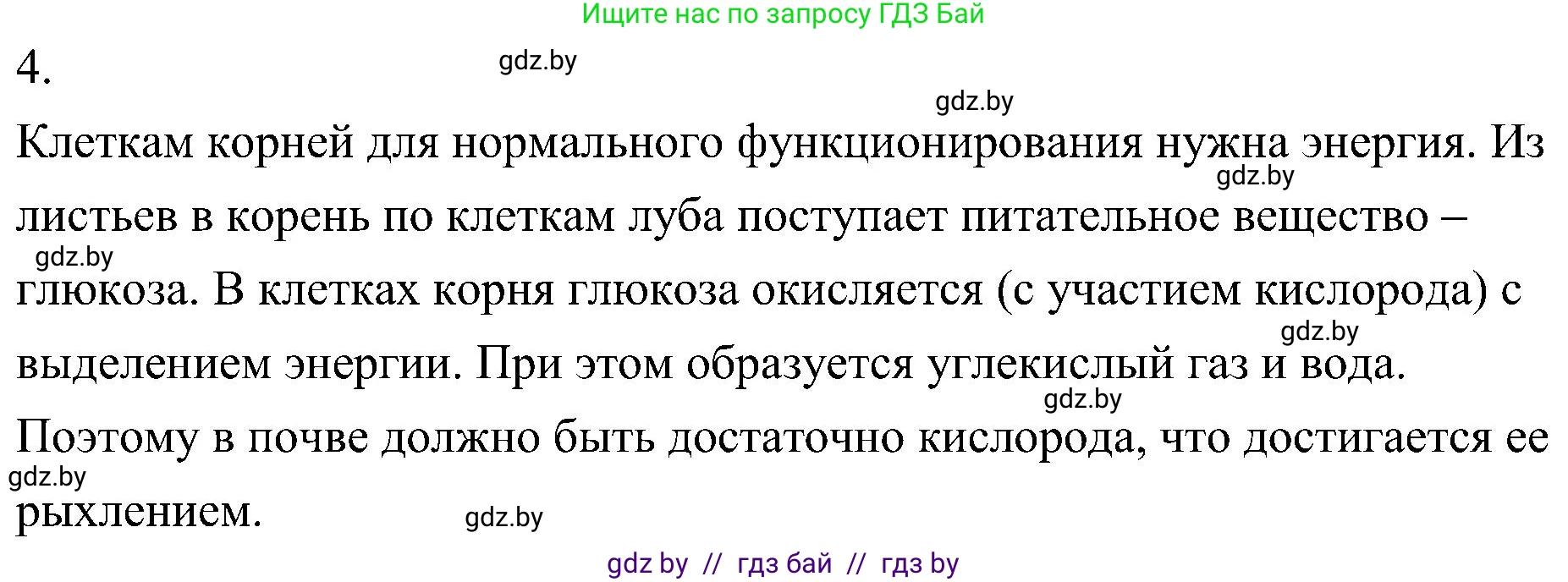 Биология, 7 класс Учебник, автор: Лисов Николай Дмитриевич, издательство Народная асвета, Минск, 2022, зелёного цвета, страница 129, номер 4, Решение