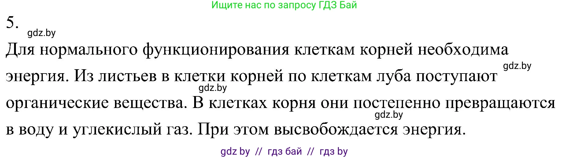 Биология, 7 класс Учебник, автор: Лисов Николай Дмитриевич, издательство Народная асвета, Минск, 2022, зелёного цвета, страница 129, номер 5, Решение