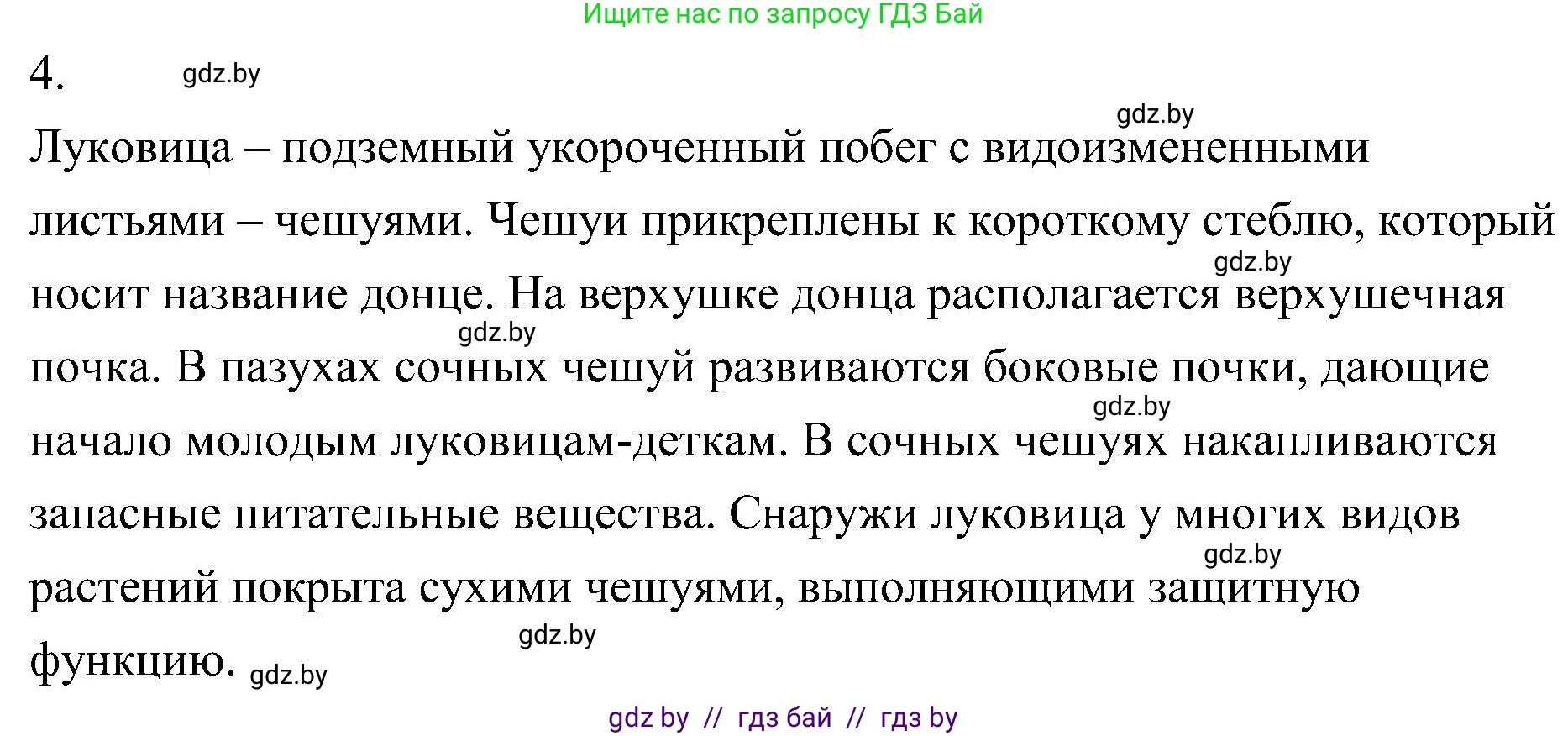 Биология, 7 класс Учебник, автор: Лисов Николай Дмитриевич, издательство Народная асвета, Минск, 2022, зелёного цвета, страница 158, номер 4, Решение