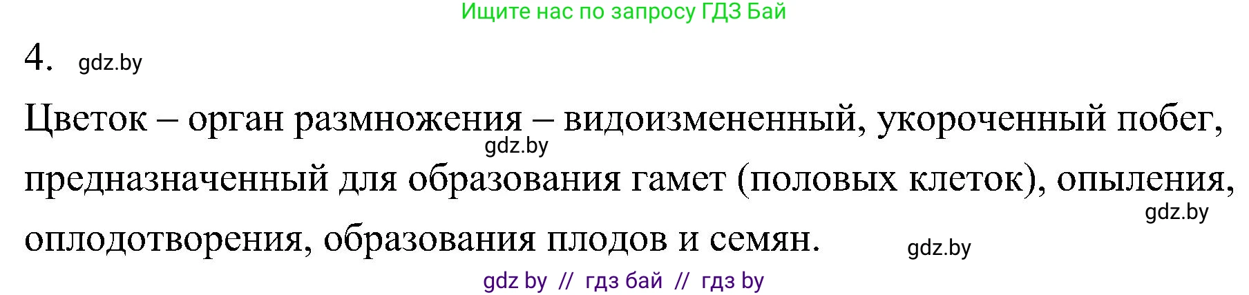 Биология, 7 класс Учебник, автор: Лисов Николай Дмитриевич, издательство Народная асвета, Минск, 2022, зелёного цвета, страница 174, номер 4, Решение