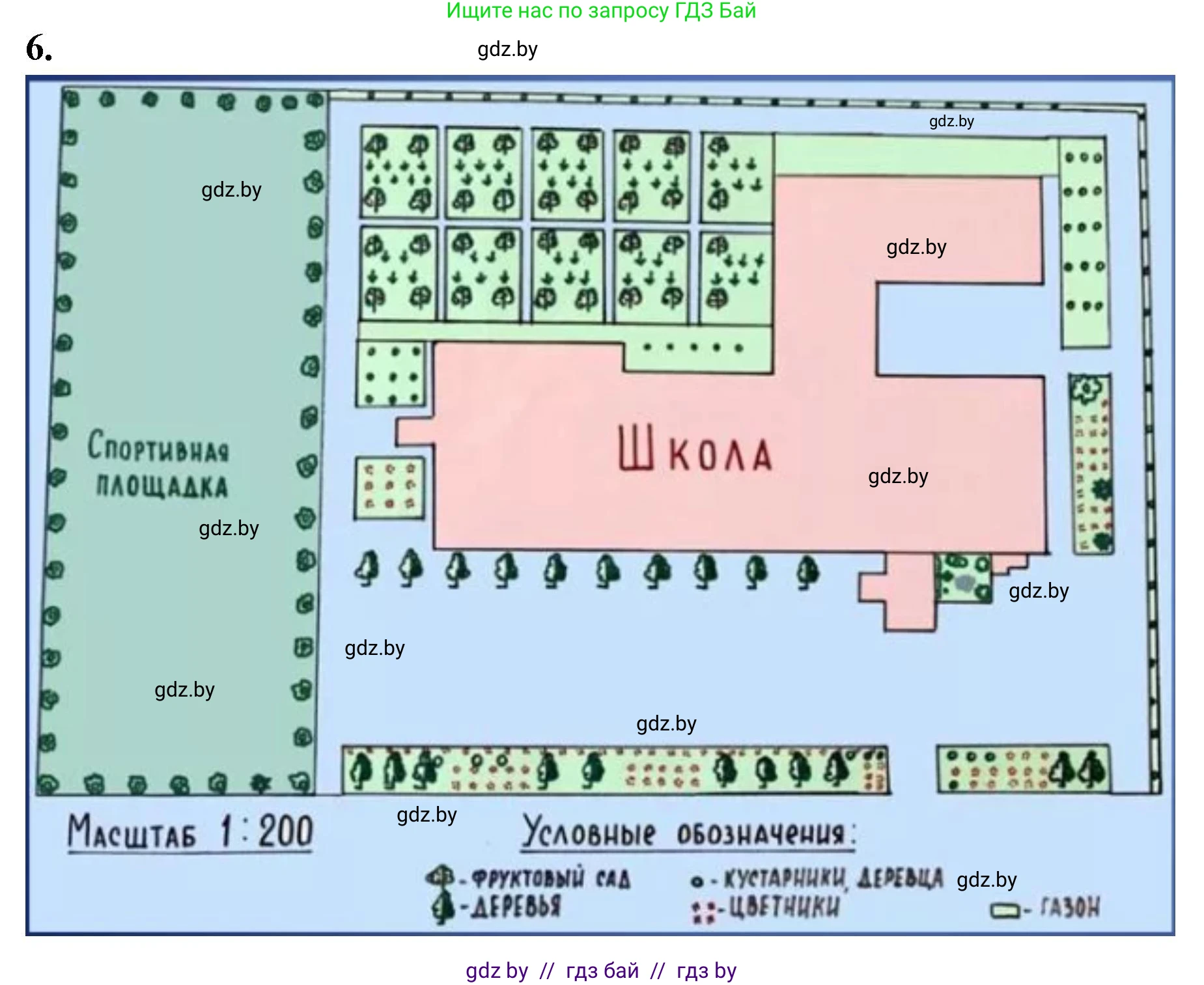 Биология, 7 класс тетрадь для экскусрий, лабораторных и практических работ, автор: Рогожников Олег Николаевич, издательство Сэр-Вит, Минск, 2022, голубого цвета, страница 50, номер 6, Решение