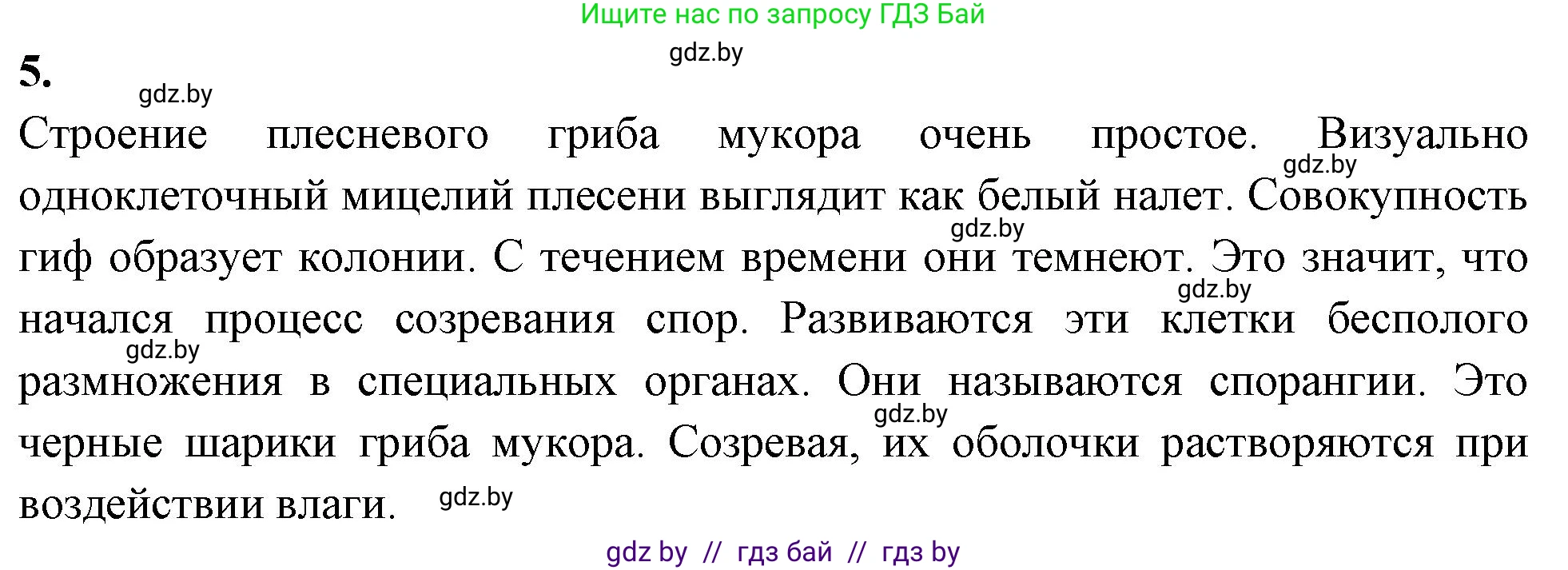 Биология, 7 класс тетрадь для экскусрий, лабораторных и практических работ, автор: Рогожников Олег Николаевич, издательство Сэр-Вит, Минск, 2022, голубого цвета, страница 11, номер 5, Решение