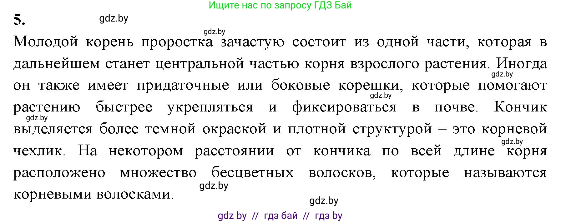 Биология, 7 класс тетрадь для экскусрий, лабораторных и практических работ, автор: Рогожников Олег Николаевич, издательство Сэр-Вит, Минск, 2022, голубого цвета, страница 24, номер 5, Решение