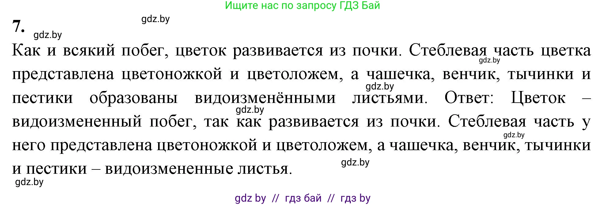 Биология, 7 класс тетрадь для экскусрий, лабораторных и практических работ, автор: Рогожников Олег Николаевич, издательство Сэр-Вит, Минск, 2022, голубого цвета, страница 36, номер 7, Решение
