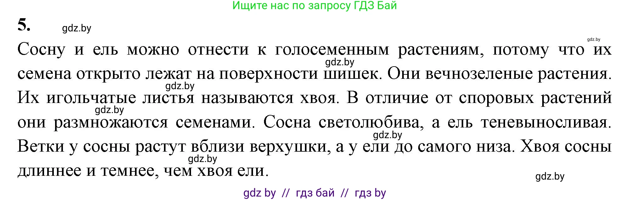 Биология, 7 класс тетрадь для экскусрий, лабораторных и практических работ, автор: Рогожников Олег Николаевич, издательство Сэр-Вит, Минск, 2022, голубого цвета, страница 20, номер 5, Решение