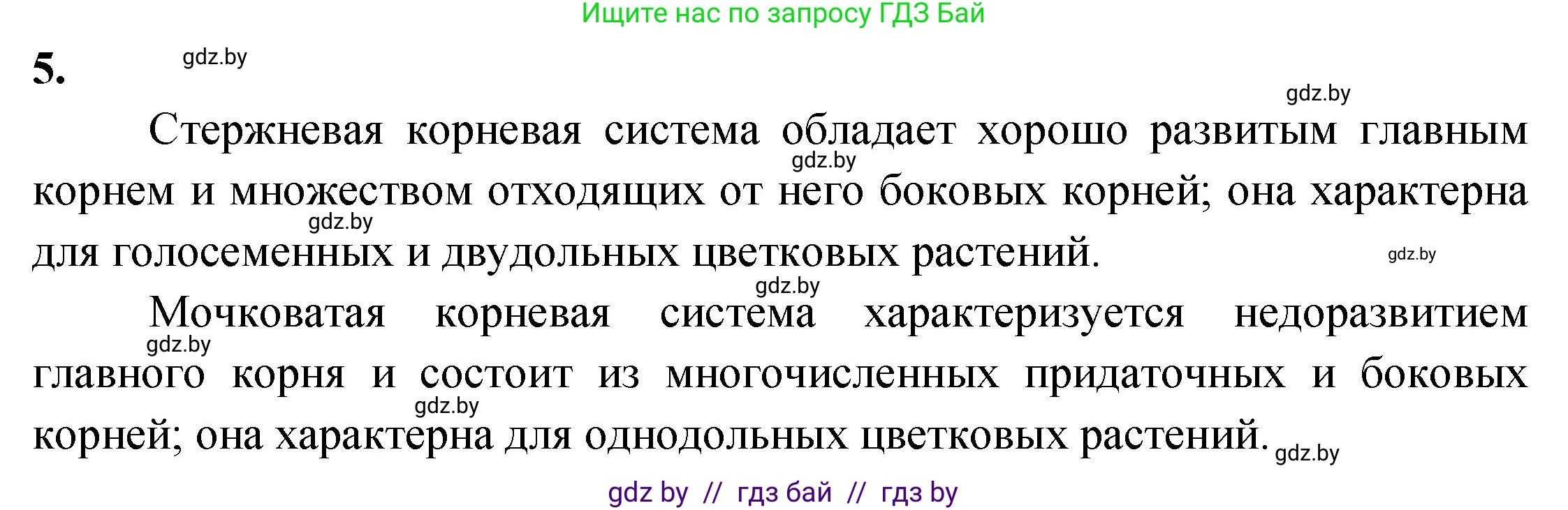 Биология, 7 класс тетрадь для экскусрий, лабораторных и практических работ, автор: Рогожников Олег Николаевич, издательство Сэр-Вит, Минск, 2022, голубого цвета, страница 22, номер 5, Решение