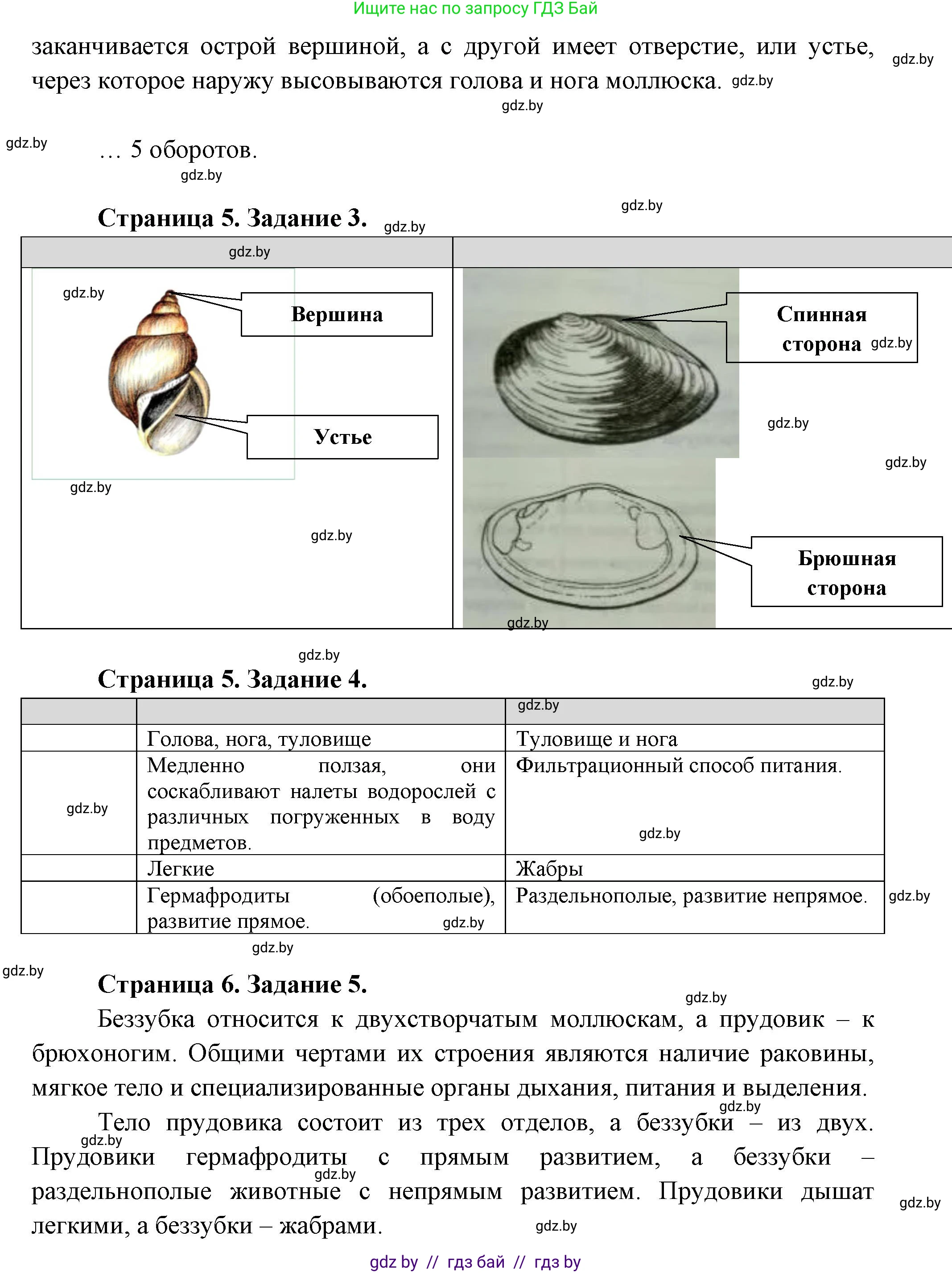 Биология, 8 класс Тетрадь для лабораторных и практических работ, авторы: Бедарик Ирина Геннадьевна, Бедарик Александр Евгеньевич, издательство Аверсэв, Минск, 2024, жёлтого цвета, страница 4, Решение (продолжение 2)