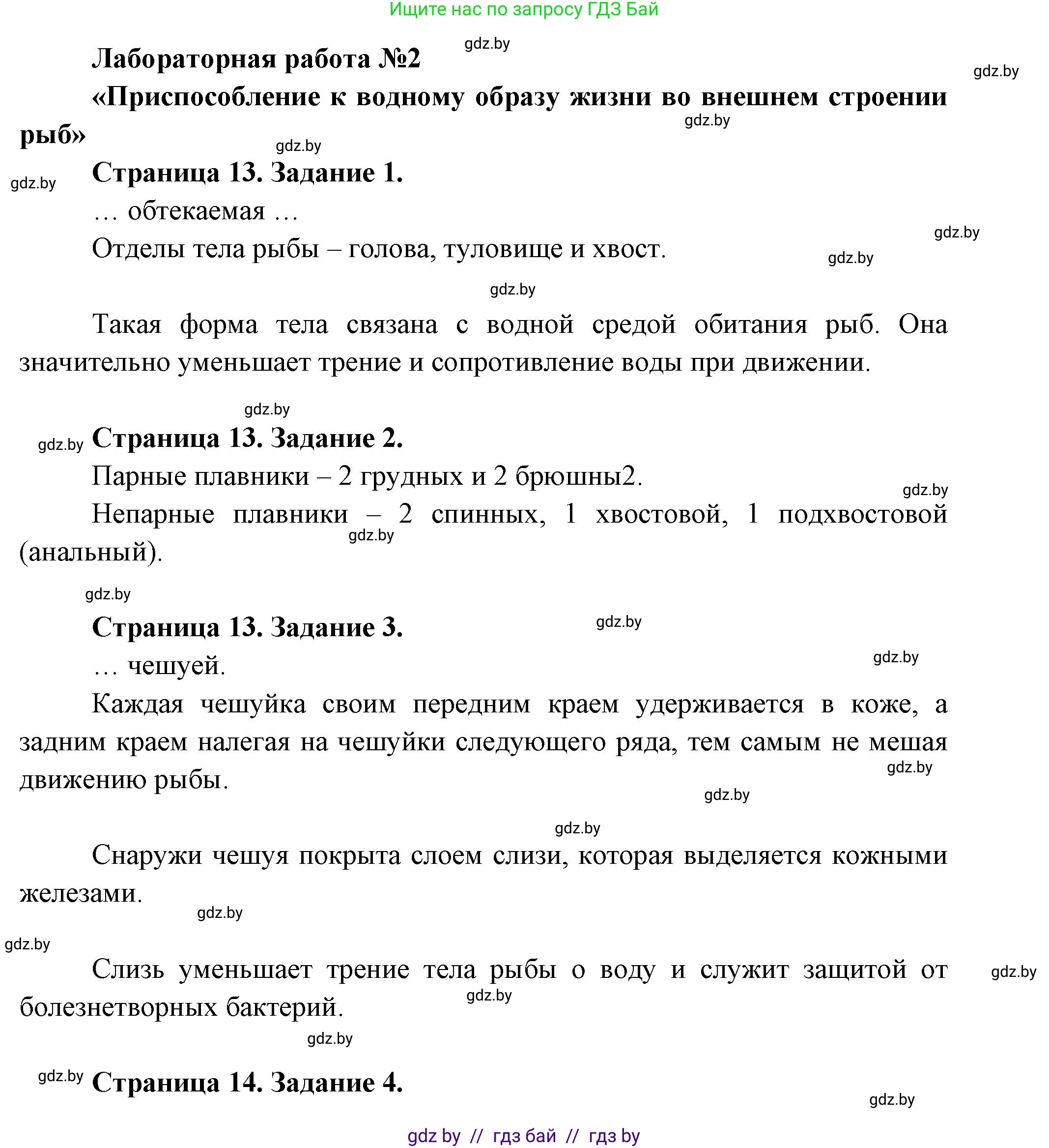 Биология, 8 класс Тетрадь для лабораторных и практических работ, авторы: Бедарик Ирина Геннадьевна, Бедарик Александр Евгеньевич, издательство Аверсэв, Минск, 2024, жёлтого цвета, страница 13, Решение
