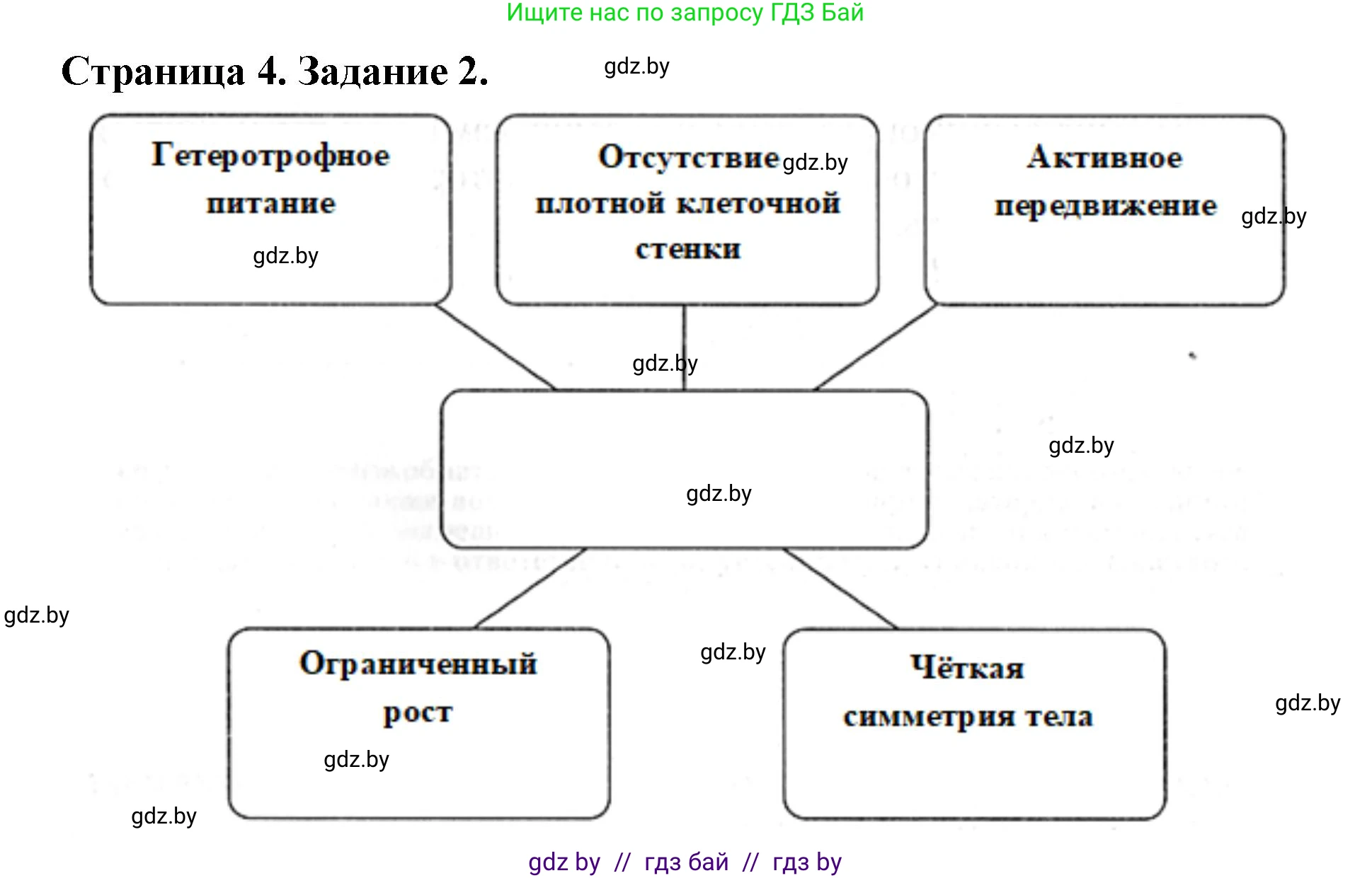 Биология, 8 класс рабочая тетрадь, авторы: Бедарик Ирина Геннадьевна, Бедарик Александр Евгеньевич, издательство Аверсэв, Минск, 2024, страница 4, номер 2, Решение