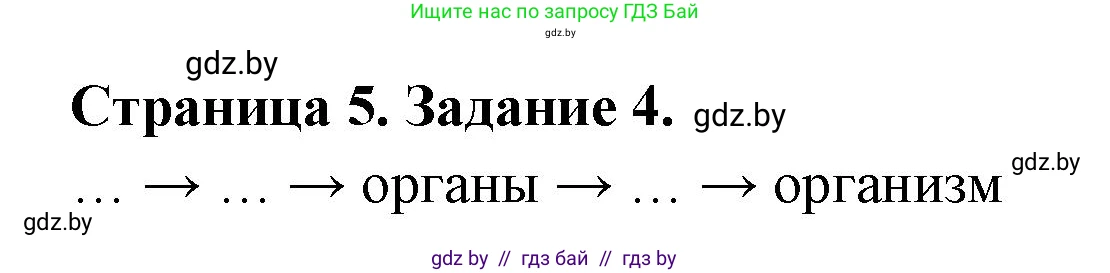 Биология, 8 класс рабочая тетрадь, авторы: Бедарик Ирина Геннадьевна, Бедарик Александр Евгеньевич, издательство Аверсэв, Минск, 2024, страница 5, номер 4, Решение