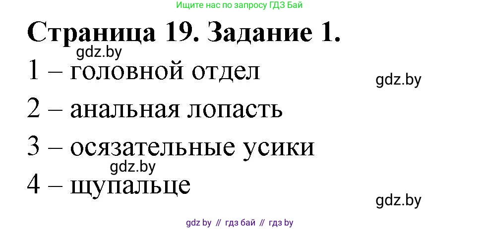 Биология, 8 класс рабочая тетрадь, авторы: Бедарик Ирина Геннадьевна, Бедарик Александр Евгеньевич, издательство Аверсэв, Минск, 2024, страница 19, номер 1, Решение