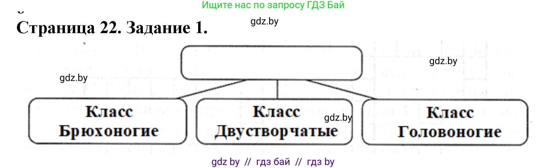 Биология, 8 класс рабочая тетрадь, авторы: Бедарик Ирина Геннадьевна, Бедарик Александр Евгеньевич, издательство Аверсэв, Минск, 2024, страница 22, номер 1, Решение