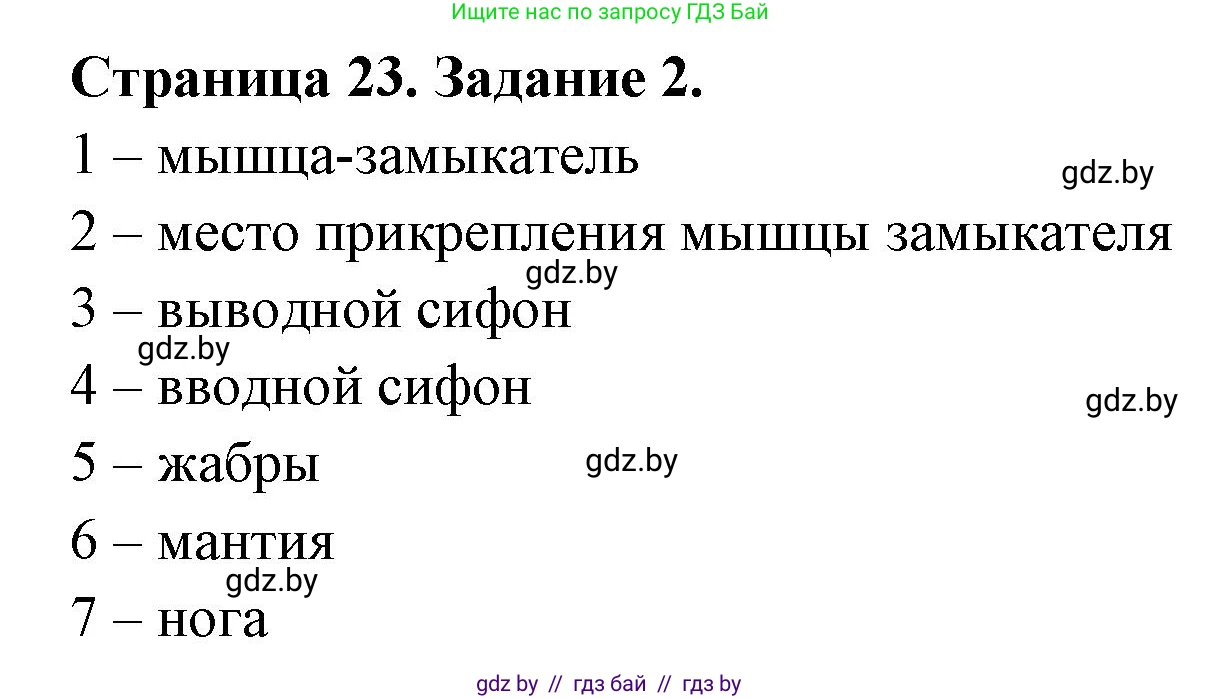 Биология, 8 класс рабочая тетрадь, авторы: Бедарик Ирина Геннадьевна, Бедарик Александр Евгеньевич, издательство Аверсэв, Минск, 2024, страница 23, номер 2, Решение
