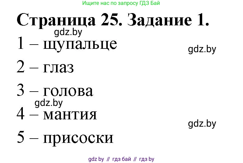 Биология, 8 класс рабочая тетрадь, авторы: Бедарик Ирина Геннадьевна, Бедарик Александр Евгеньевич, издательство Аверсэв, Минск, 2024, страница 25, номер 1, Решение