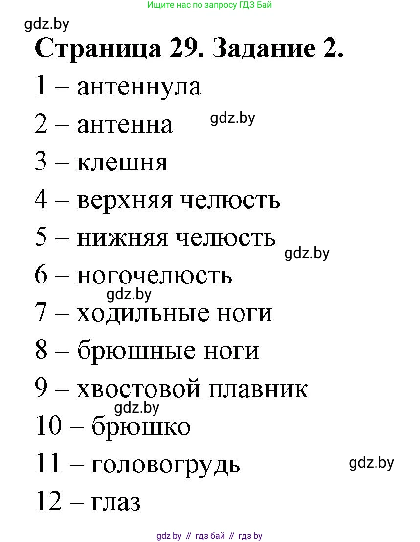 Биология, 8 класс рабочая тетрадь, авторы: Бедарик Ирина Геннадьевна, Бедарик Александр Евгеньевич, издательство Аверсэв, Минск, 2024, страница 29, номер 2, Решение