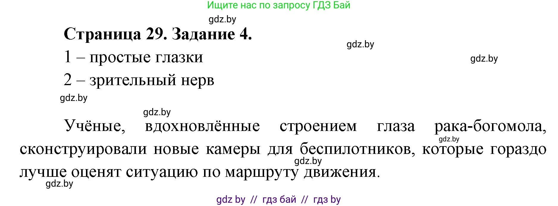 Биология, 8 класс рабочая тетрадь, авторы: Бедарик Ирина Геннадьевна, Бедарик Александр Евгеньевич, издательство Аверсэв, Минск, 2024, страница 29, номер 4, Решение