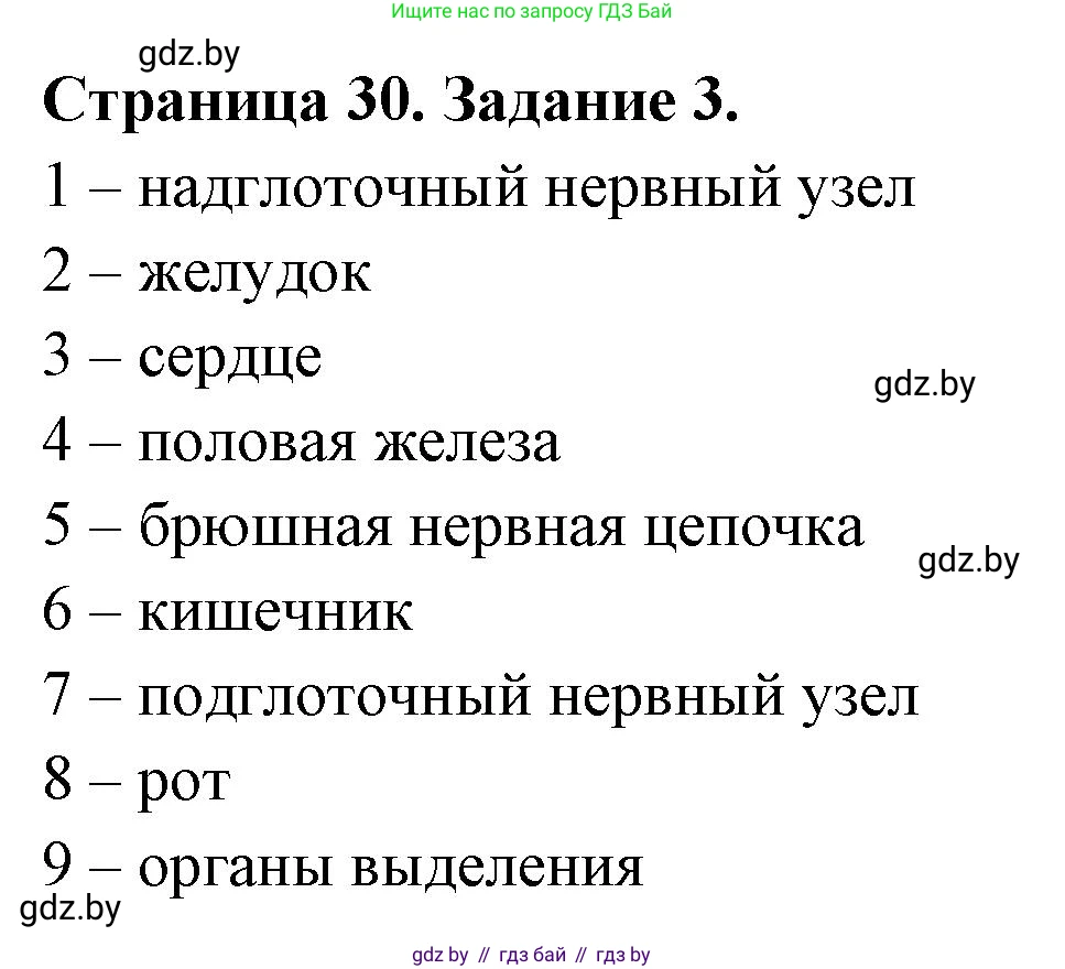 Биология, 8 класс рабочая тетрадь, авторы: Бедарик Ирина Геннадьевна, Бедарик Александр Евгеньевич, издательство Аверсэв, Минск, 2024, страница 30, номер 3, Решение