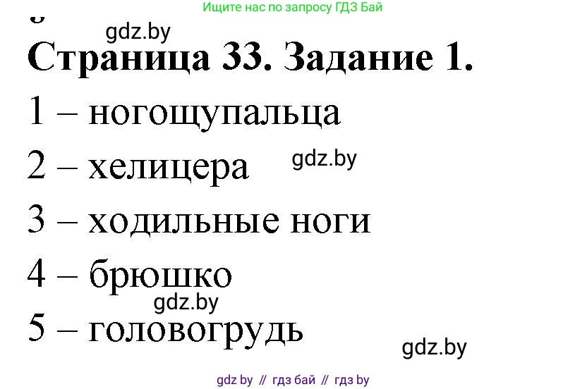 Биология, 8 класс рабочая тетрадь, авторы: Бедарик Ирина Геннадьевна, Бедарик Александр Евгеньевич, издательство Аверсэв, Минск, 2024, страница 33, номер 1, Решение