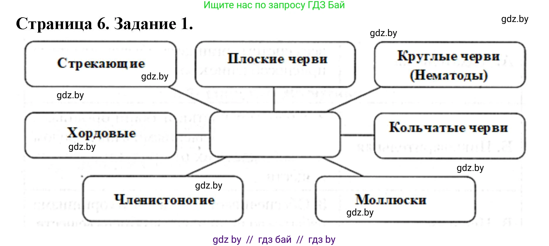 Биология, 8 класс рабочая тетрадь, авторы: Бедарик Ирина Геннадьевна, Бедарик Александр Евгеньевич, издательство Аверсэв, Минск, 2024, страница 6, номер 1, Решение