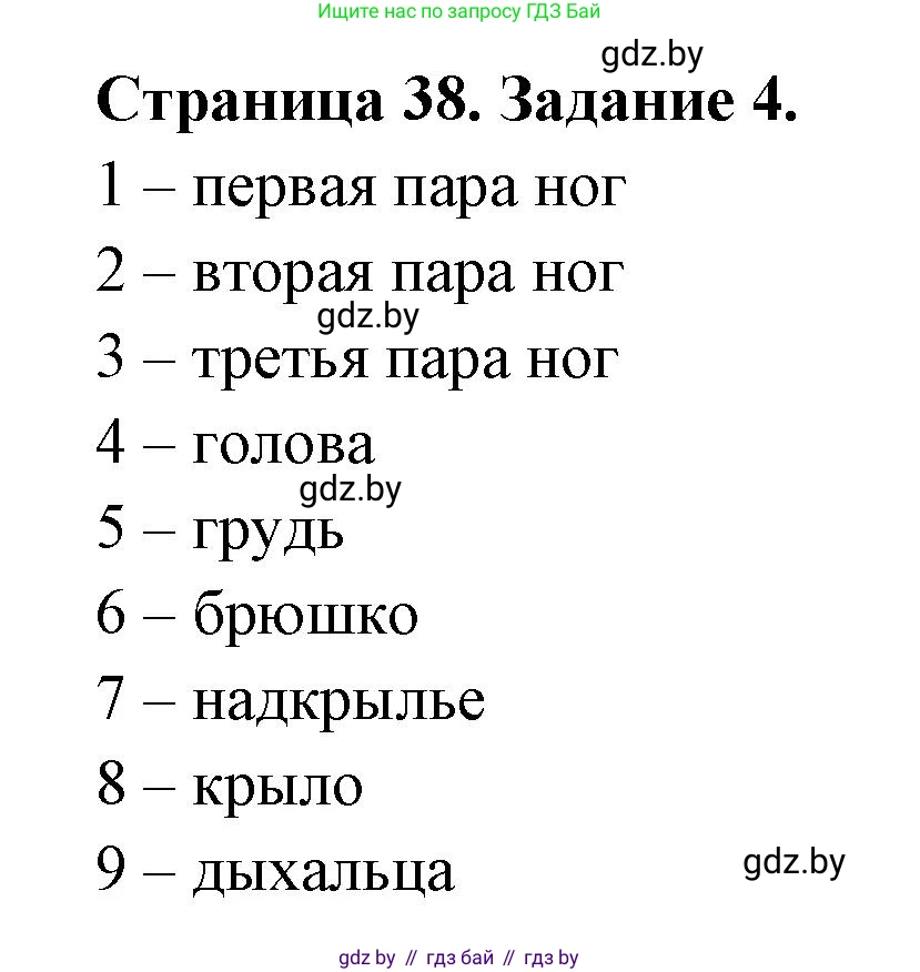 Биология, 8 класс рабочая тетрадь, авторы: Бедарик Ирина Геннадьевна, Бедарик Александр Евгеньевич, издательство Аверсэв, Минск, 2024, страница 38, номер 4, Решение