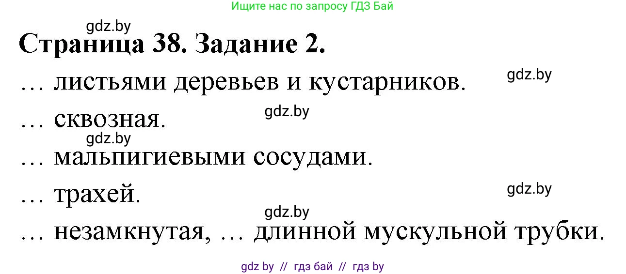 Биология, 8 класс рабочая тетрадь, авторы: Бедарик Ирина Геннадьевна, Бедарик Александр Евгеньевич, издательство Аверсэв, Минск, 2024, страница 38, номер 2, Решение