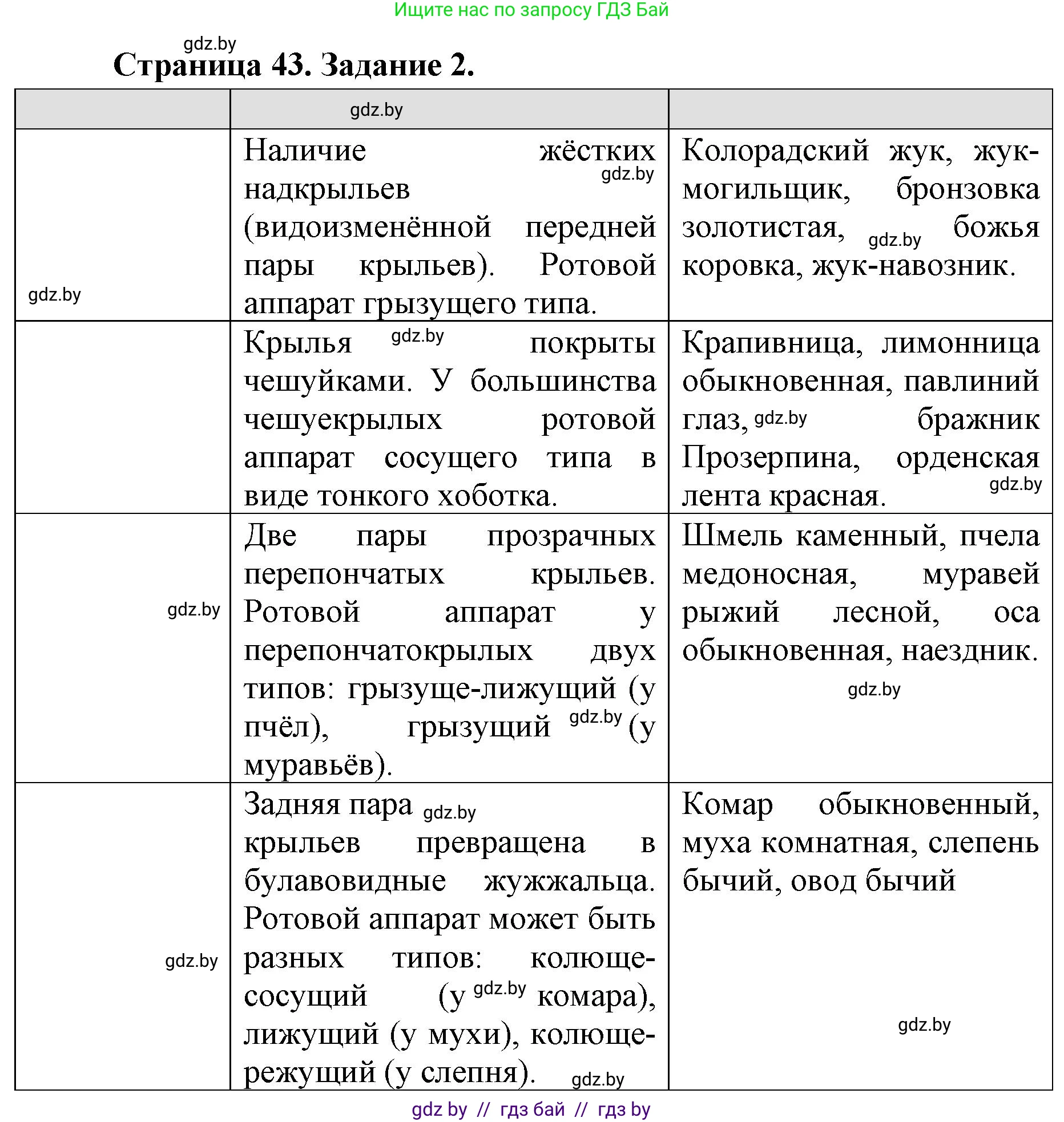 Биология, 8 класс рабочая тетрадь, авторы: Бедарик Ирина Геннадьевна, Бедарик Александр Евгеньевич, издательство Аверсэв, Минск, 2024, страница 43, номер 2, Решение