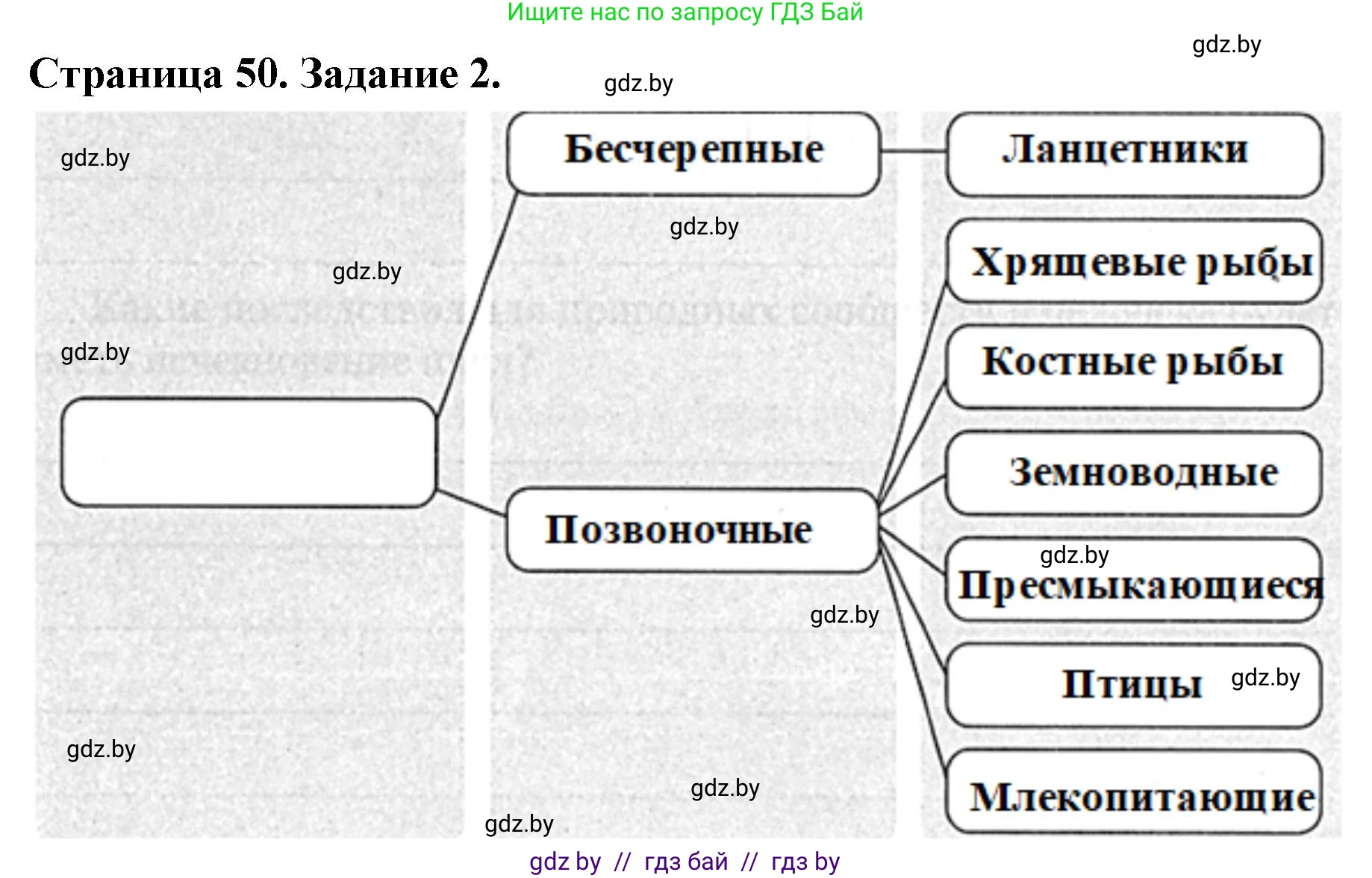 Биология, 8 класс рабочая тетрадь, авторы: Бедарик Ирина Геннадьевна, Бедарик Александр Евгеньевич, издательство Аверсэв, Минск, 2024, страница 50, номер 2, Решение