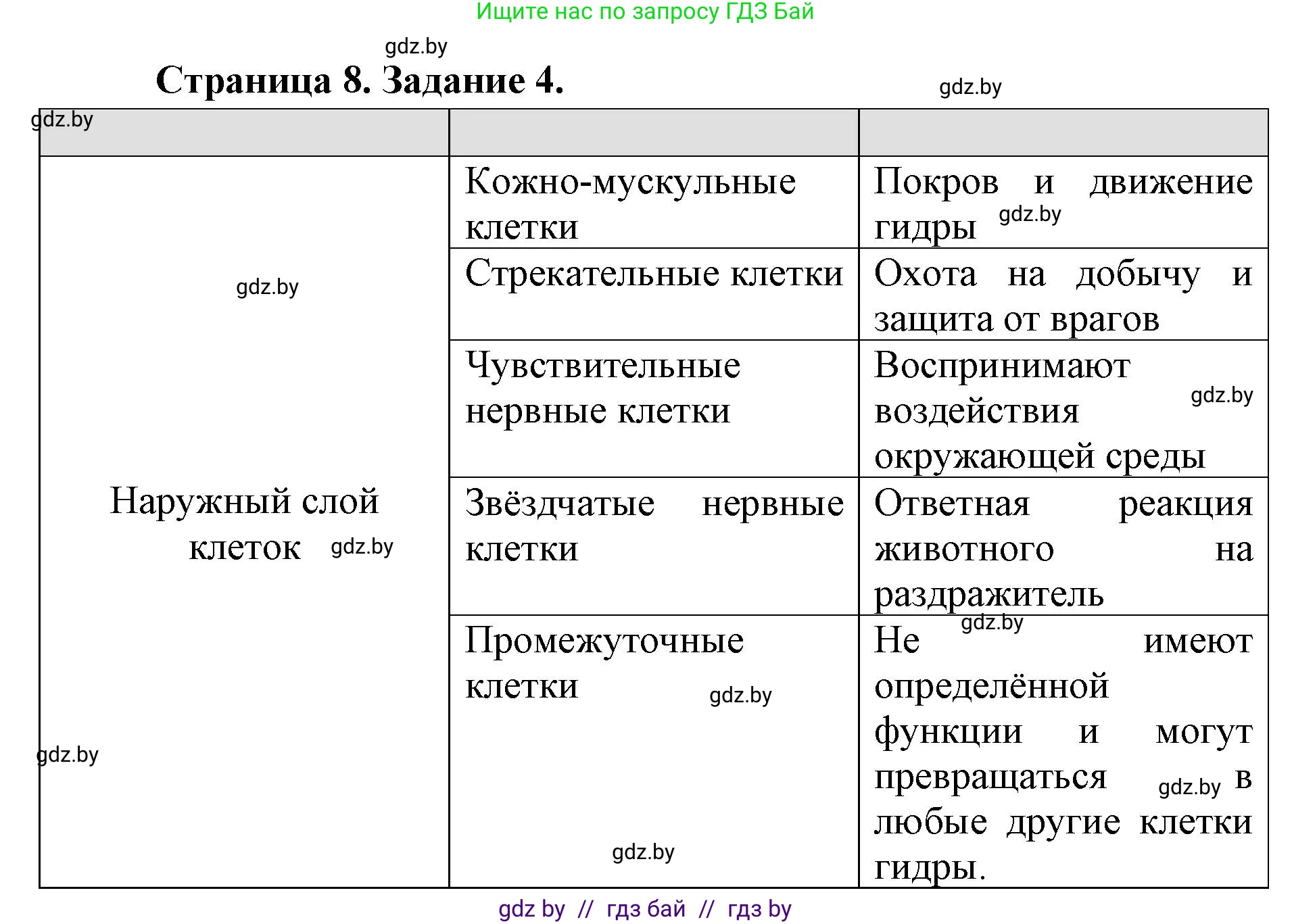 Биология, 8 класс рабочая тетрадь, авторы: Бедарик Ирина Геннадьевна, Бедарик Александр Евгеньевич, издательство Аверсэв, Минск, 2024, страница 8, номер 4, Решение