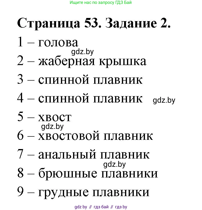 Биология, 8 класс рабочая тетрадь, авторы: Бедарик Ирина Геннадьевна, Бедарик Александр Евгеньевич, издательство Аверсэв, Минск, 2024, страница 53, номер 2, Решение