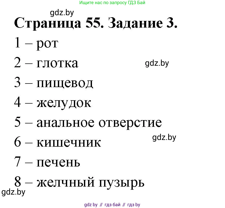 Биология, 8 класс рабочая тетрадь, авторы: Бедарик Ирина Геннадьевна, Бедарик Александр Евгеньевич, издательство Аверсэв, Минск, 2024, страница 55, номер 3, Решение